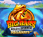 Big Bass Hold & Spinner Megaways